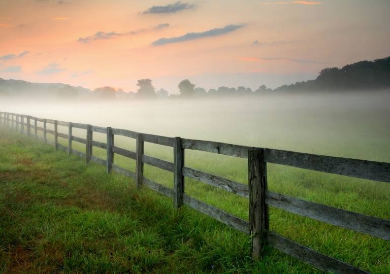 Agricultural Fencing - Farm Fencing Services